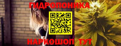 мяу мяу мука Краснознаменск