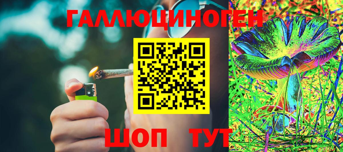 Ижевск  Галлюциногенные грибы Psilocybe  Вход с VPN 