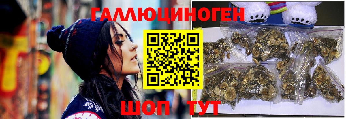 Галлюциногенные грибы Magic Shrooms Ижевск